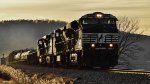 NS 7577